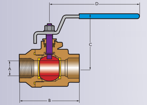 2FB6T (NPT X NPT)